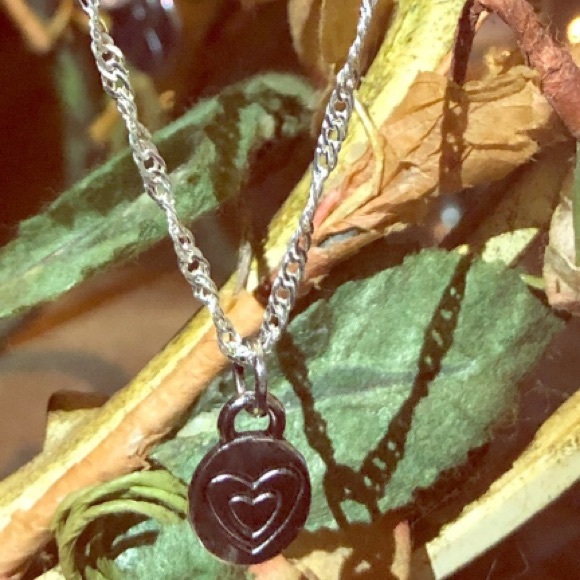 18” Silver Twisted Chain W/Double Heart ❤️ ChARm♾ - Picture 7 of 7